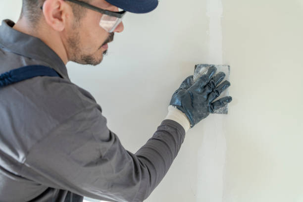 Reliable New Brockton, AL Painting Solutions